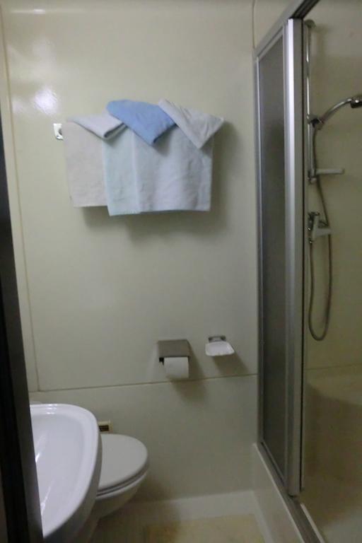 Weisses Roessl Werfen Otel Dış mekan fotoğraf