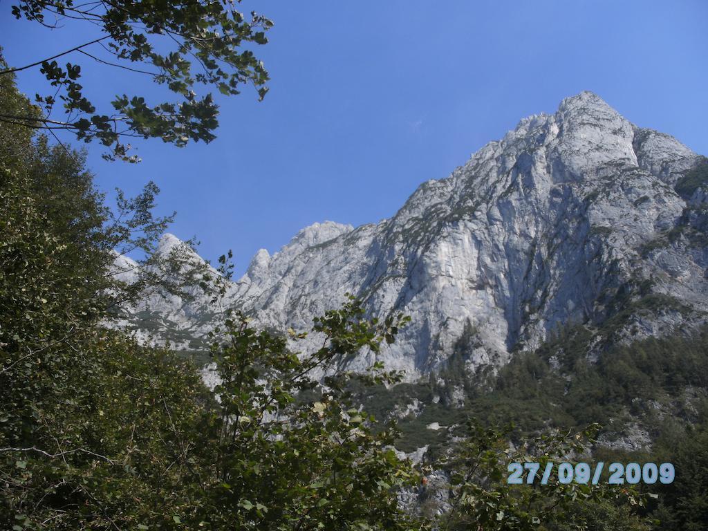 Weisses Roessl Werfen Otel Dış mekan fotoğraf